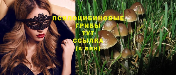 крисы Армянск