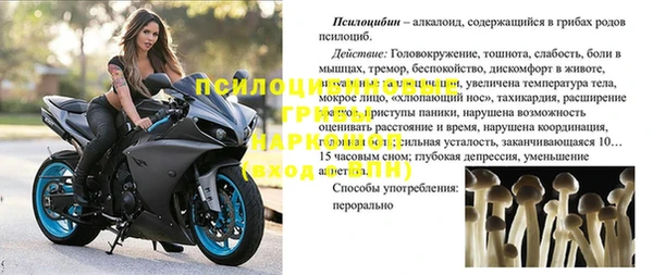 крисы Армянск