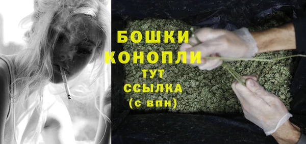 трава Арсеньев