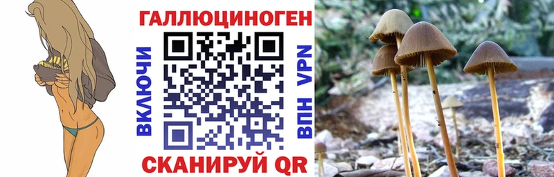 Псилоцибиновые грибы ЛСД  магазин продажи наркотиков  Солигалич 